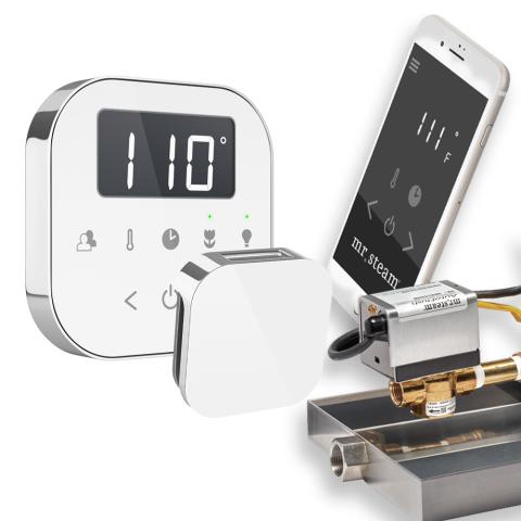 Mr. Steam AirButler Steam Shower Control Package with AirTempo Control and Aroma Glass SteamHead