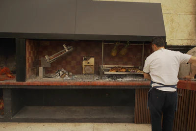 Tagwood BBQ Insert Style Argentine Santa Maria Wood Fire & Charcoal Gaucho Grill without firebricks