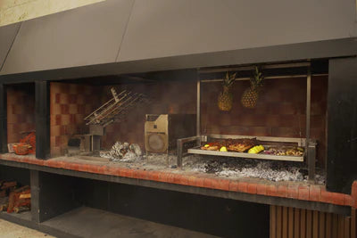 Tagwood BBQ Insert Style Argentine Santa Maria Wood Fire & Charcoal Gaucho Grill without firebricks