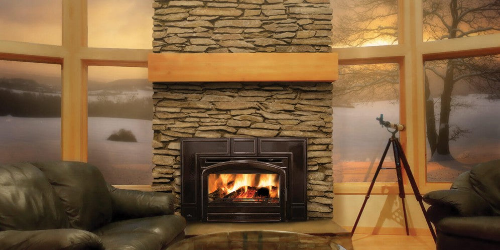 Napoleon OAKDALE EPI3C Wood Burning Contemporary Fireplace Insert - EPI3C-1