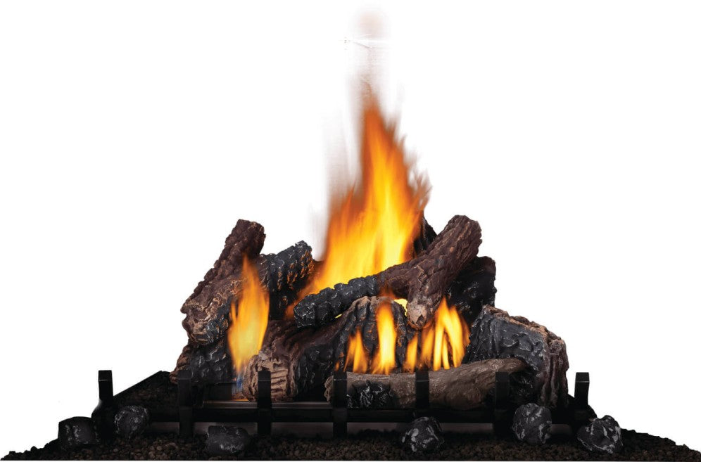 Napoleon Riverside 42 Steel Outdoor Fireplace - GSS42CFN